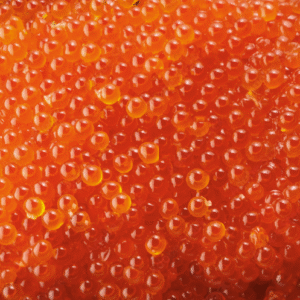 イクラ Salmon Roe on Rice