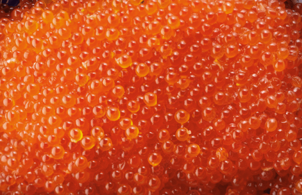 イクラ Salmon Roe on Rice