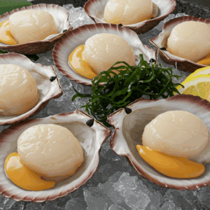 ホタテ60枚 Scallops (Raw or Grilled)