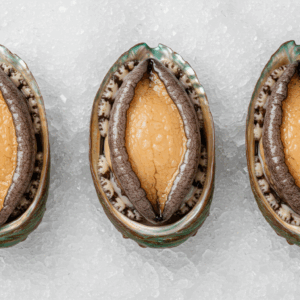 鮑(あわび) Abalone