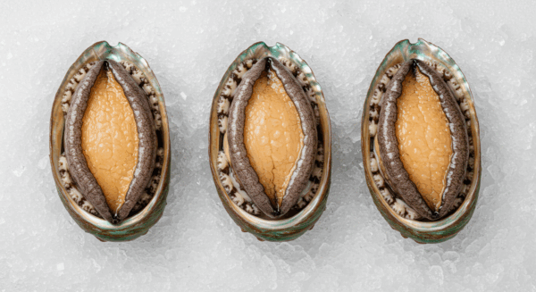 鮑(あわび) Abalone